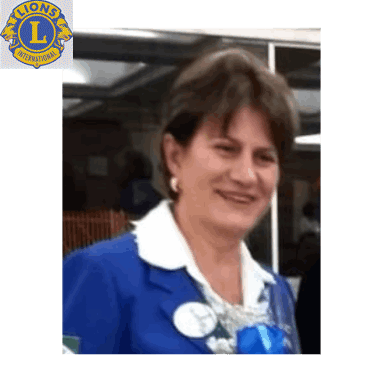 assessoria fotografias